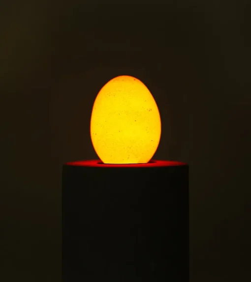 Ampoule-oeuf