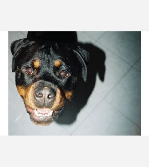 Appareil photo avec flash Lomomatic 110 - Lomography