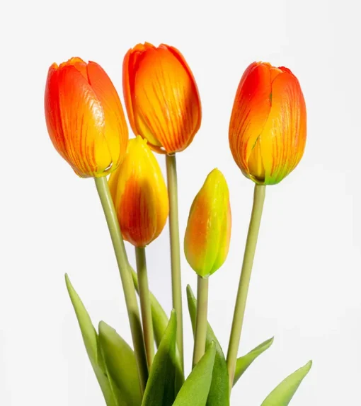 Bouquet de tulipes réalistes