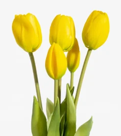 Bouquet de tulipes réalistes