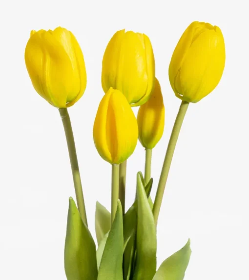 Bouquet de tulipes réalistes