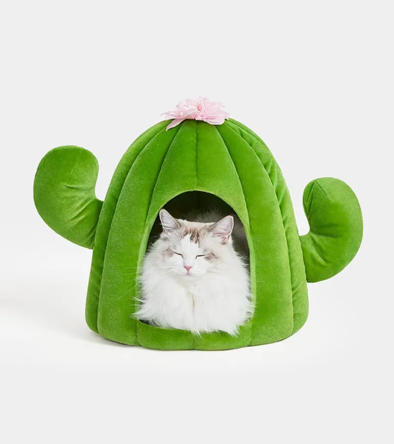 Cabane cactus pour animaux