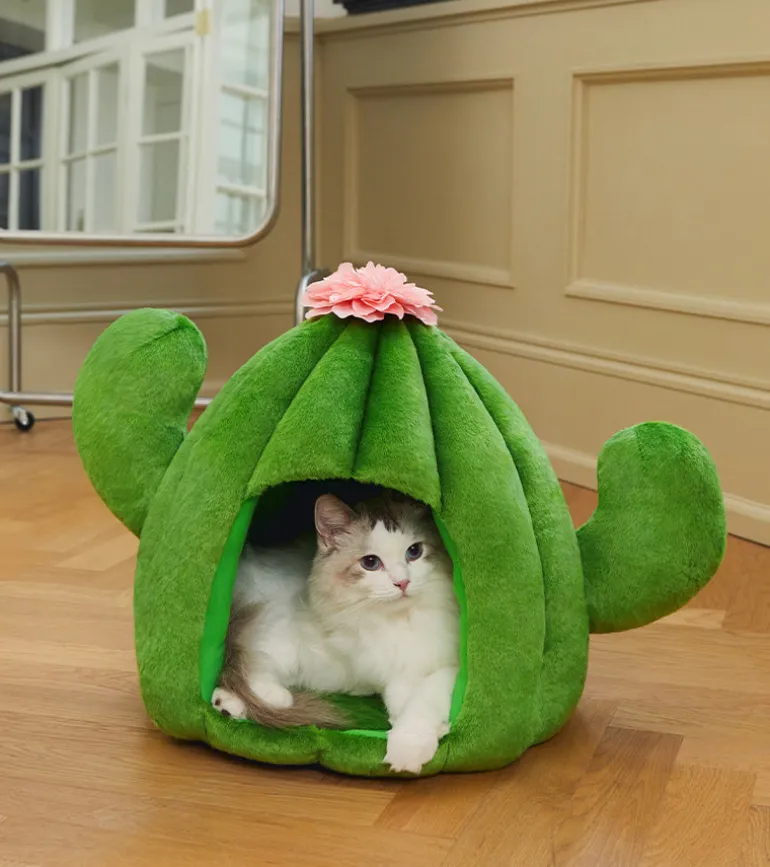 Cabane cactus pour animaux