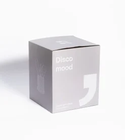 Cache-pot disco