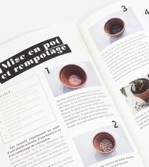 Comment ne pas faire crever ses plantes