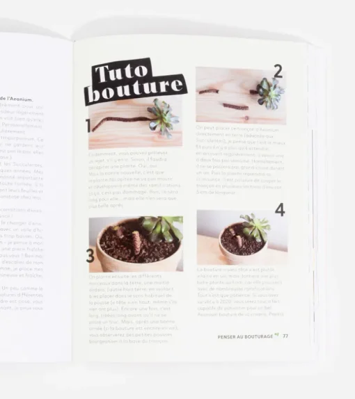 Comment ne pas faire crever ses plantes