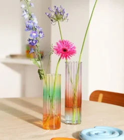 Dégradé de vase