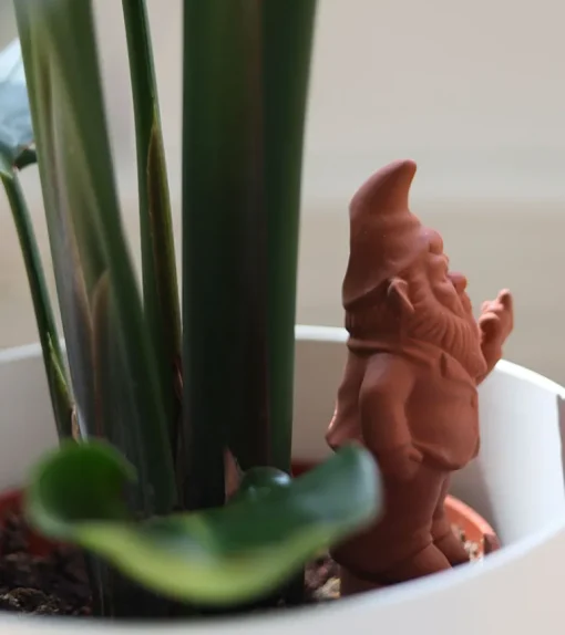 Gnome Terracotta irrigateur de plantes