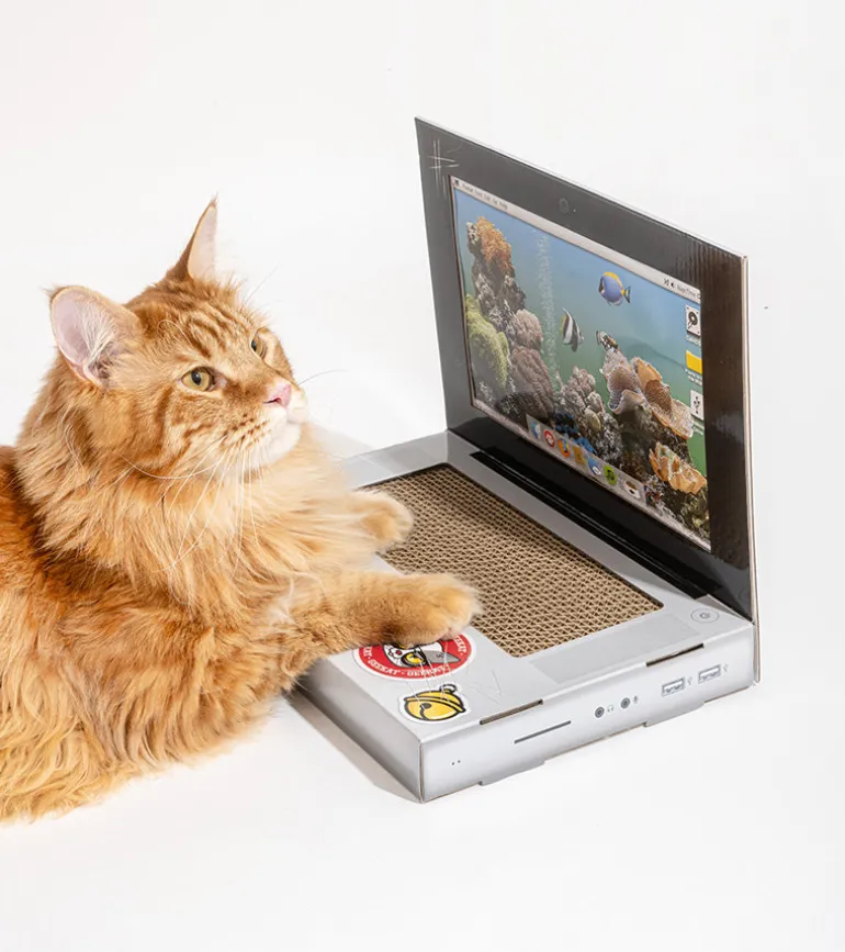 Griffoir ordinateur pour chats