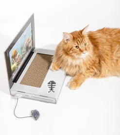 Griffoir ordinateur pour chats