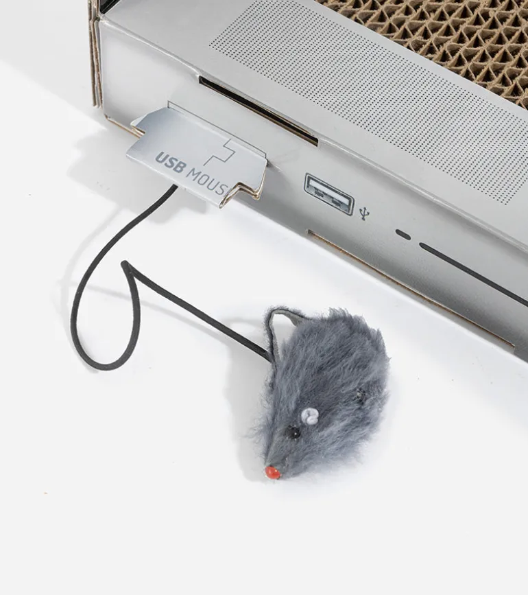 Griffoir ordinateur pour chats