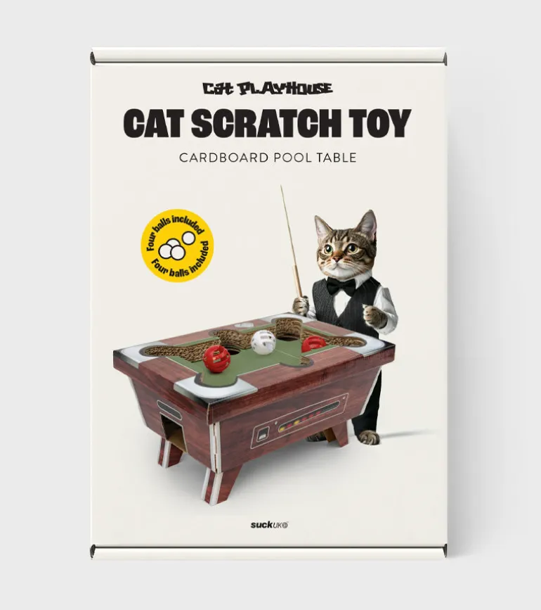 Jeu Billard pour chats