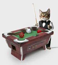 Jeu Billard pour chats