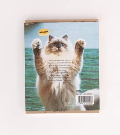 Le Yoga du Chat