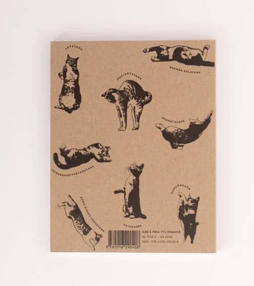 Le Yoga du Chat