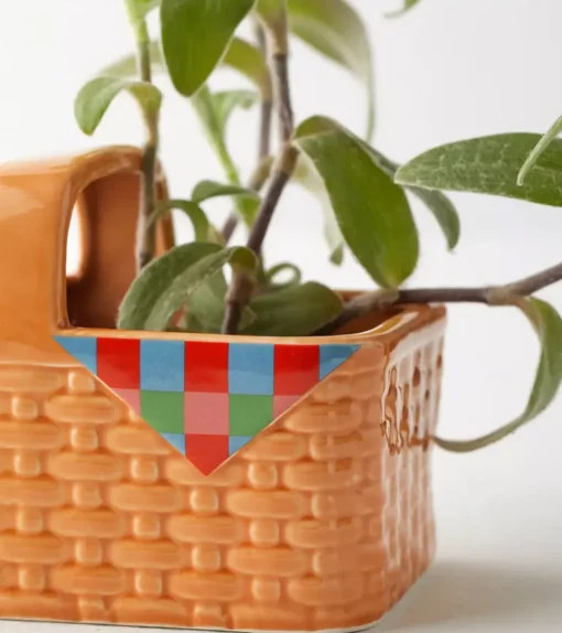 Panier Pique-nique Jardinière