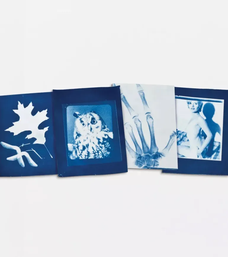 Papier de sunography