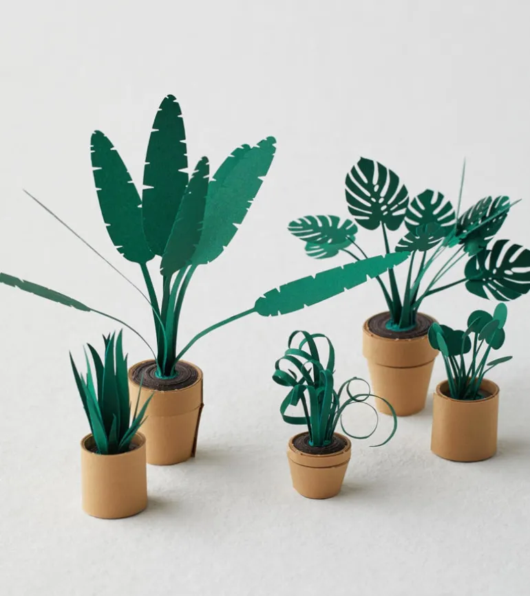 Plantes en papier DIY