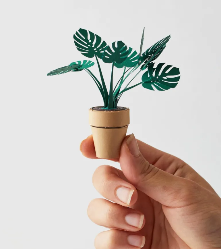 Plantes en papier DIY