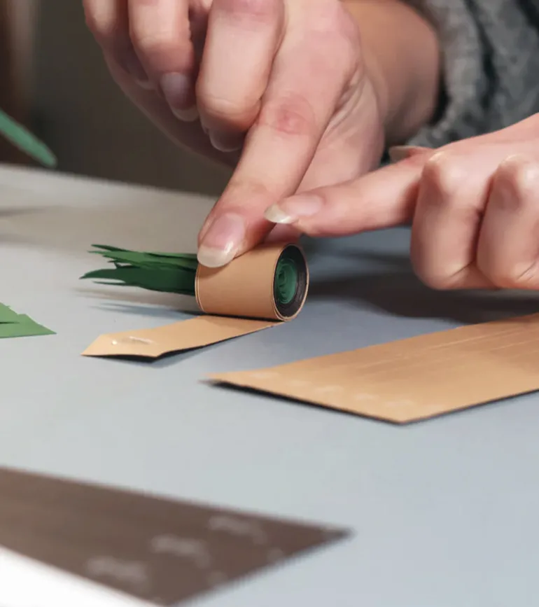 Plantes en papier DIY