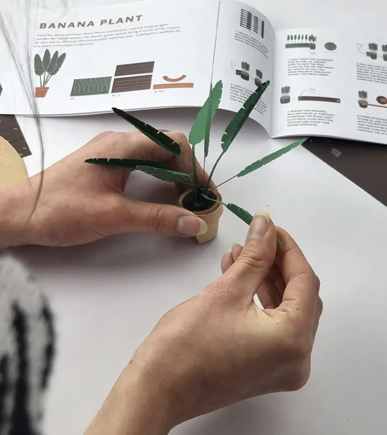 Plantes en papier DIY