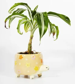 Pot à plantes tortue