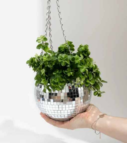 Pot de plantes disco boule à facettes
