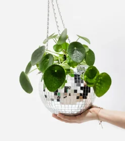 Pot de plantes disco boule à facettes