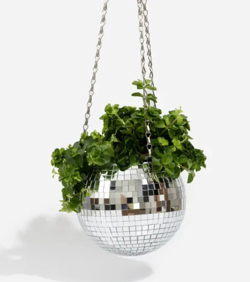 Pot de plantes disco boule à facettes