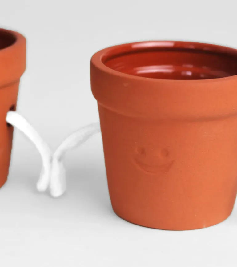 Pots à succulentes qui se tiennent la main