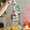 Presse-agrumes artisanal - Vert