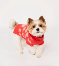 Pull coeurs pour animaux