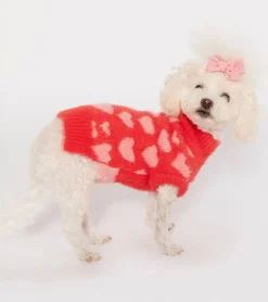 Pull coeurs pour animaux