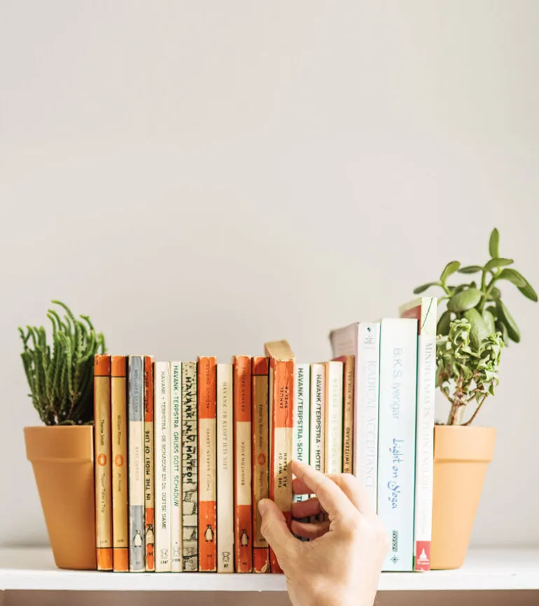Serre-livres 2 en 1 / Pot à plantes