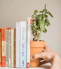 Serre-livres 2 en 1 / Pot à plantes