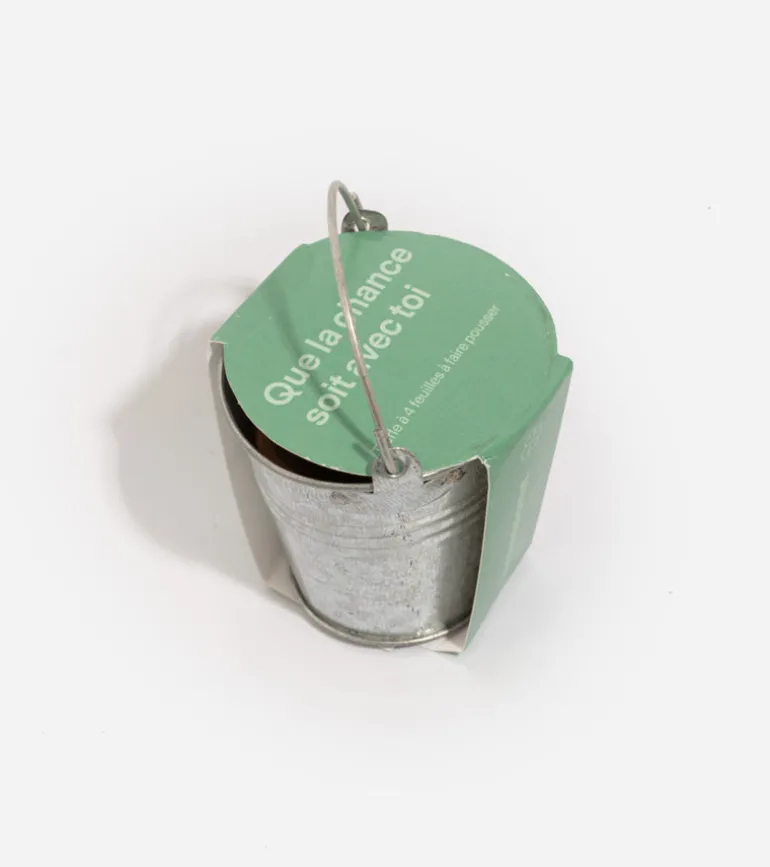 Trèfle à 4 feuilles à faire pousser