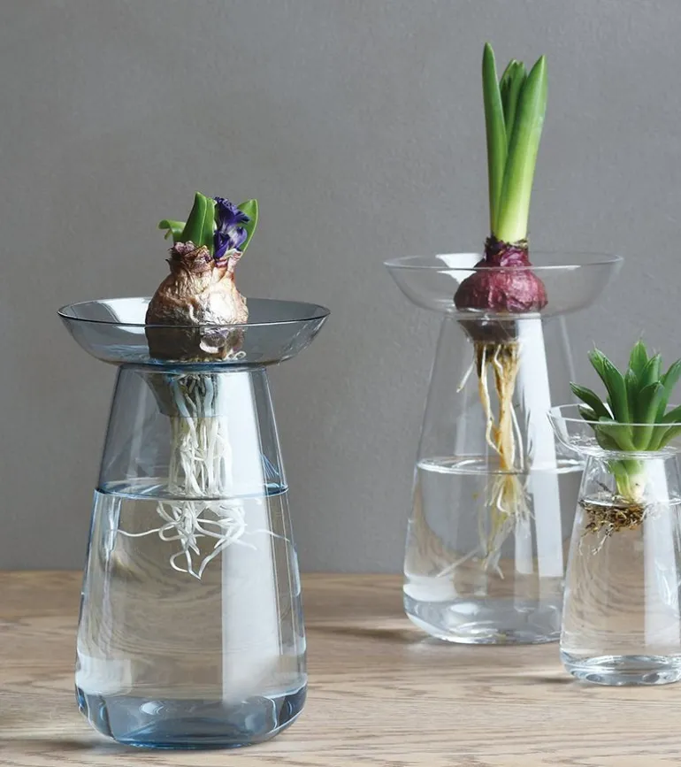 Vase à hydroculture