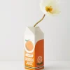 Vase brique de jus d'orange