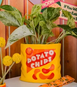 Vase pack de chips