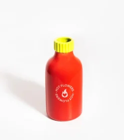 Vase sauce piquante